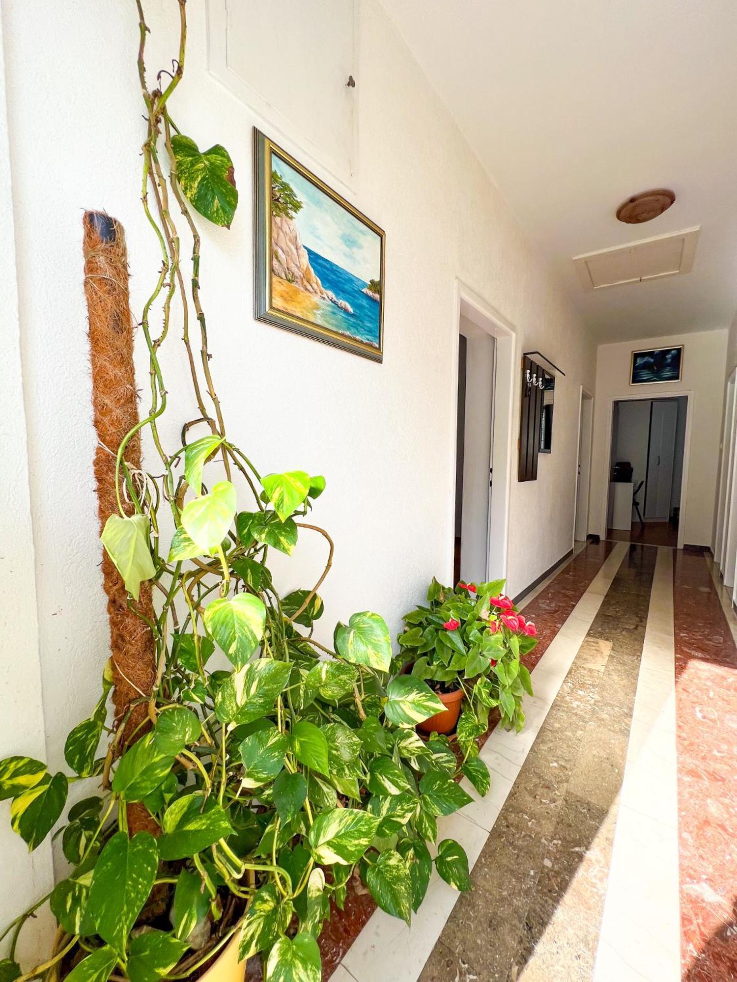 Apartment Bava Дубровник Екстер'єр фото